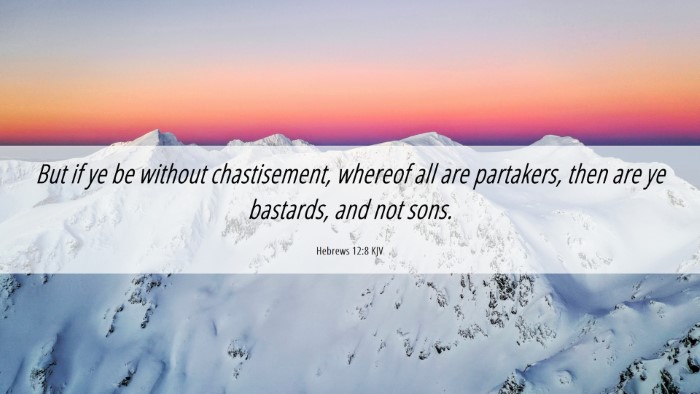 Picture 06 - Hebrews 12:8 KJV Desktop Wallpaper - But if ye be without chastisement, whereof all - Desktop Bible Verse Wallpaper