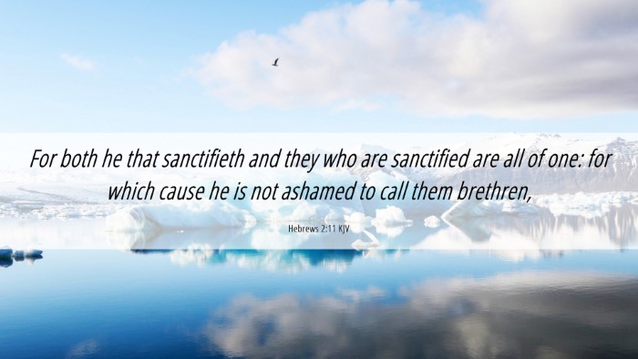 Picture 06 - Hebrews 2:11 KJV Desktop Wallpaper - For both he that sanctifieth and they who are - Desktop Bible Verse Wallpaper