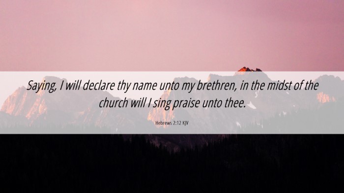 Picture 06 - Hebrews 2:12 KJV Desktop Wallpaper - Saying, I will declare thy name unto my brethren, - Desktop Bible Verse Wallpaper