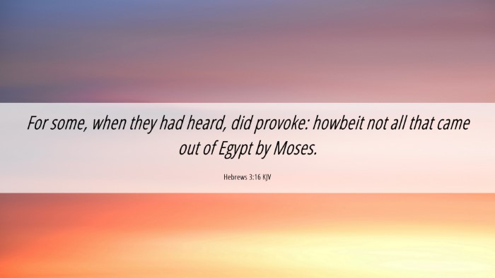 Picture 06 - Hebrews 3:16 KJV Desktop Wallpaper - For some, when they had heard, did provoke: - Desktop Bible Verse Wallpaper
