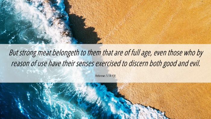 Picture 06 - Hebrews 5:14 KJV Desktop Wallpaper - But strong meat belongeth to them that are of - Desktop Bible Verse Wallpaper