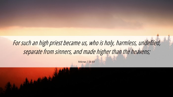 Picture 06 - Hebrews 7:26 KJV Desktop Wallpaper - For such an high priest became us, who is holy, - Desktop Bible Verse Wallpaper