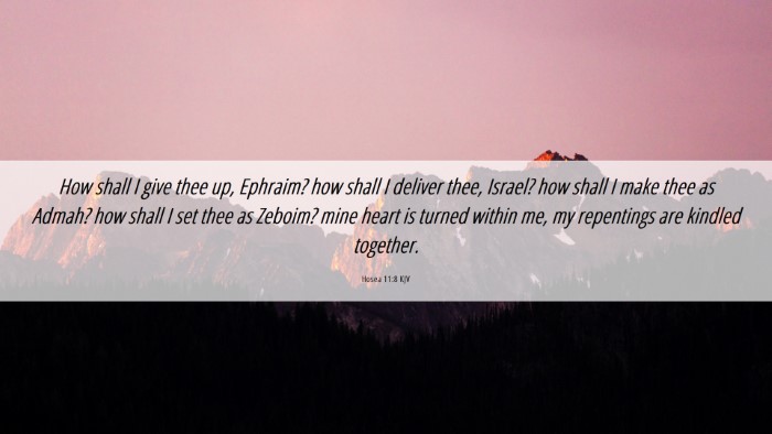 Picture 06 - Hosea 11:8 KJV Desktop Wallpaper - How shall I give thee up, Ephraim? how shall I - Desktop Bible Verse Wallpaper