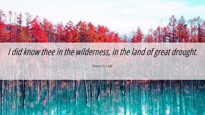Picture 06 - Hosea 13:5 KJV Desktop Wallpaper - I did know thee in the wilderness, in the land of - Desktop Bible Verse Wallpaper