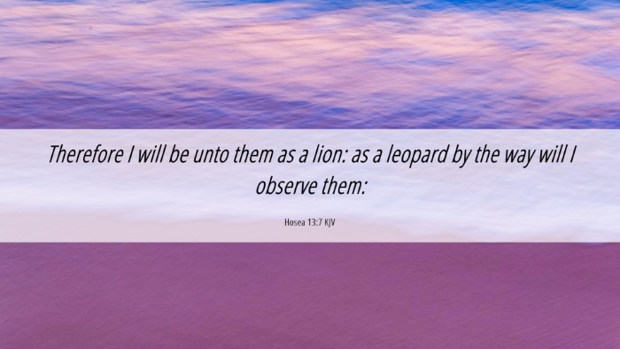Picture 06 - Hosea 13:7 KJV Desktop Wallpaper - Therefore I will be unto them as a lion: as a - Desktop Bible Verse Wallpaper