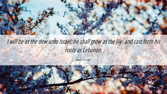Picture 06 - Hosea 14:5 KJV Desktop Wallpaper - I will be as the dew unto Israel: he shall grow - Desktop Bible Verse Wallpaper