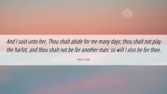 Picture 06 - Hosea 3:3 KJV Desktop Wallpaper - And I said unto her, Thou shalt abide for me many - Desktop Bible Verse Wallpaper
