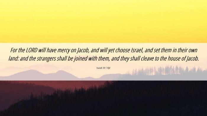Picture 06 - Isaiah 14:1 KJV Desktop Wallpaper - For the LORD will have mercy on Jacob, and will - Desktop Bible Verse Wallpaper