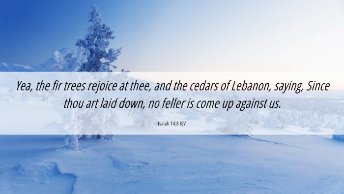 Picture 06 - Isaiah 14:8 KJV Desktop Wallpaper - Yea, the fir trees rejoice at thee, and the - Desktop Bible Verse Wallpaper