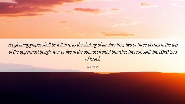 Picture 06 - Isaiah 17:6 KJV Desktop Wallpaper - Yet gleaning grapes shall be left in it, as the - Desktop Bible Verse Wallpaper