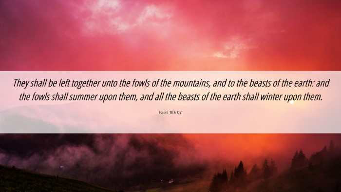 Picture 06 - Isaiah 18:6 KJV Desktop Wallpaper - They shall be left together unto the fowls of the - Desktop Bible Verse Wallpaper