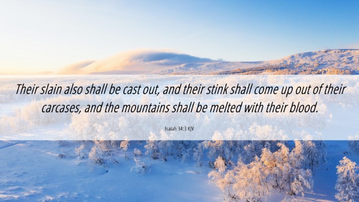 Picture 06 - Isaiah 34:3 KJV Desktop Wallpaper - Their slain also shall be cast out, and their - Desktop Bible Verse Wallpaper