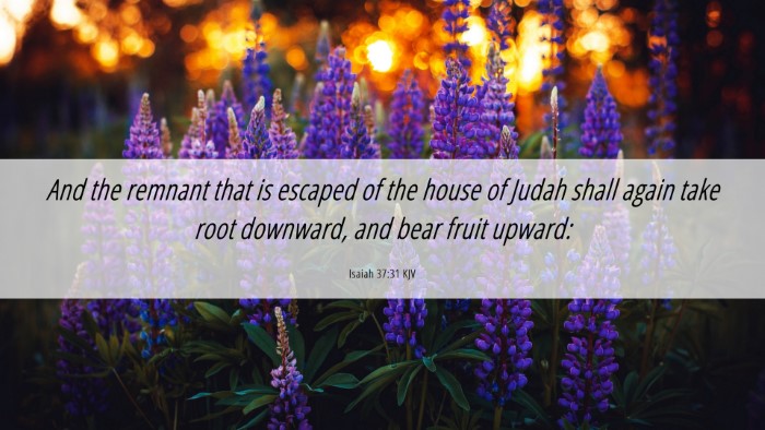 Picture 06 - Isaiah 37:31 KJV Desktop Wallpaper - And the remnant that is escaped of the house of - Desktop Bible Verse Wallpaper