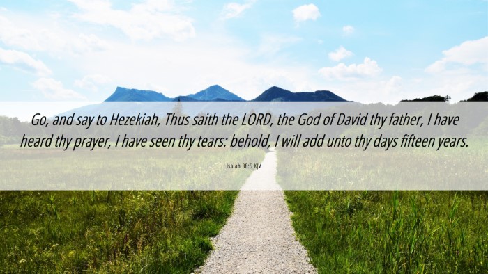 Picture 06 - Isaiah 38:5 KJV Desktop Wallpaper - Go, and say to Hezekiah, Thus saith the LORD, the - Desktop Bible Verse Wallpaper