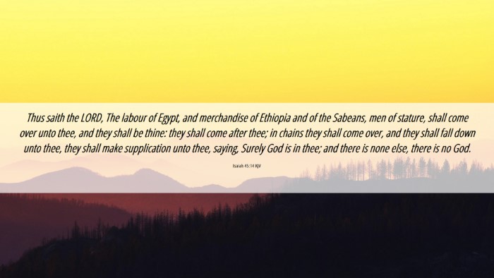 Picture 06 - Isaiah 45:14 KJV Desktop Wallpaper - Thus saith the LORD, The labour of Egypt, and - Desktop Bible Verse Wallpaper