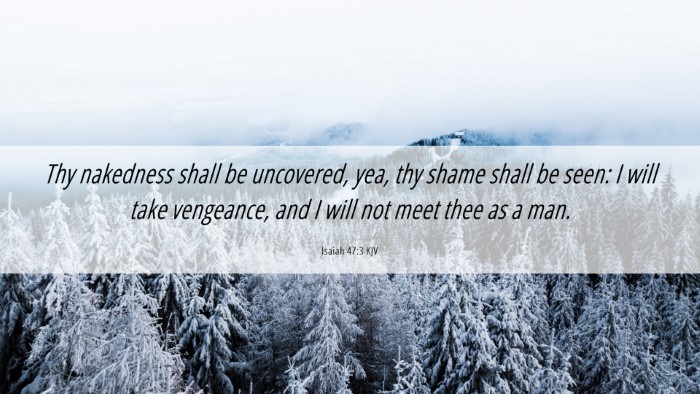 Picture 06 - Isaiah 47:3 KJV Desktop Wallpaper - Thy nakedness shall be uncovered, yea, thy shame - Desktop Bible Verse Wallpaper