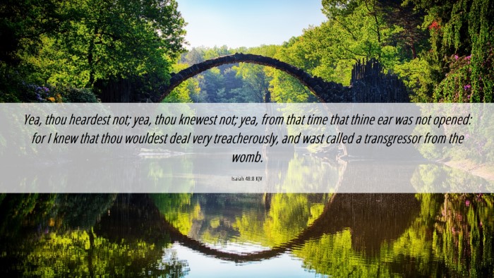 Picture 06 - Isaiah 48:8 KJV Desktop Wallpaper - Yea, thou heardest not; yea, thou knewest not; - Desktop Bible Verse Wallpaper