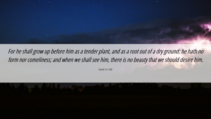 Picture 06 - Isaiah 53:2 KJV Desktop Wallpaper - For he shall grow up before him as a tender - Desktop Bible Verse Wallpaper