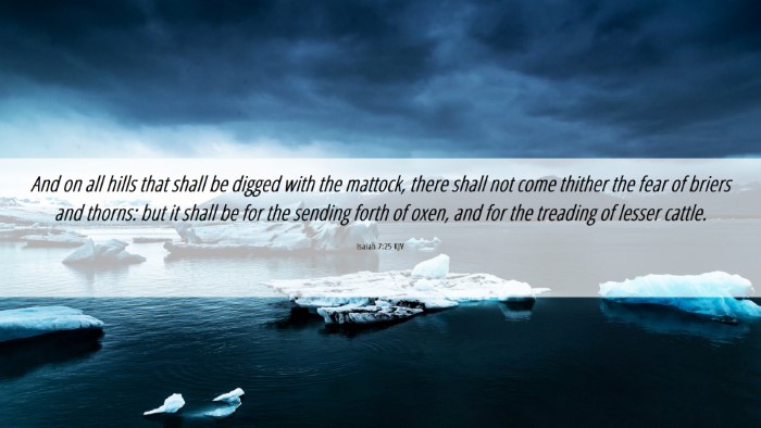 Picture 06 - Isaiah 7:25 KJV Desktop Wallpaper - And on all hills that shall be digged with the - Desktop Bible Verse Wallpaper