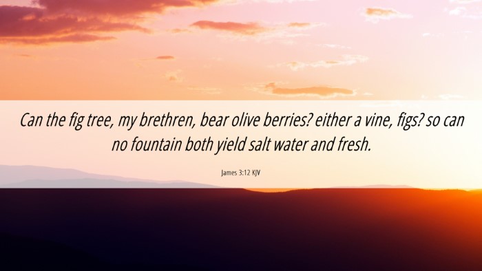 Picture 06 - James 3:12 KJV Desktop Wallpaper - Can the fig tree, my brethren, bear olive - Desktop Bible Verse Wallpaper