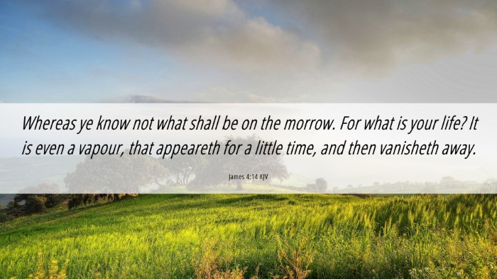 Picture 06 - James 4:14 KJV Desktop Wallpaper - Whereas ye know not what shall be on the morrow. - Desktop Bible Verse Wallpaper