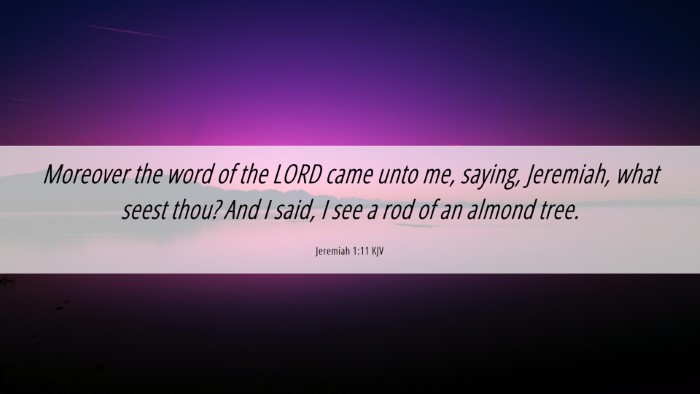 Picture 06 - Jeremiah 1:11 KJV Desktop Wallpaper - Moreover the word of the LORD came unto me, - Desktop Bible Verse Wallpaper