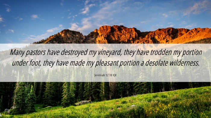 Picture 06 - Jeremiah 12:10 KJV Desktop Wallpaper - Many pastors have destroyed my vineyard, they - Desktop Bible Verse Wallpaper