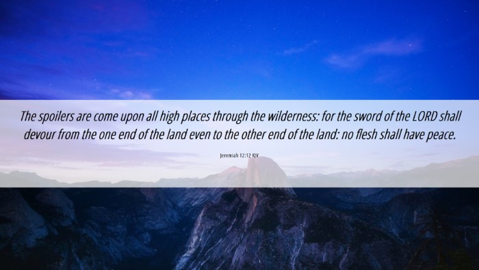 Picture 06 - Jeremiah 12:12 KJV Desktop Wallpaper - The spoilers are come upon all high places - Desktop Bible Verse Wallpaper
