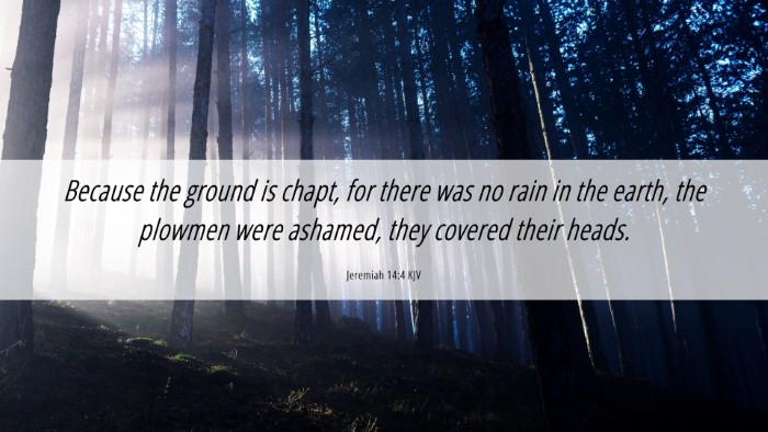 Picture 06 - Jeremiah 14:4 KJV Desktop Wallpaper - Because the ground is chapt, for there was no - Desktop Bible Verse Wallpaper