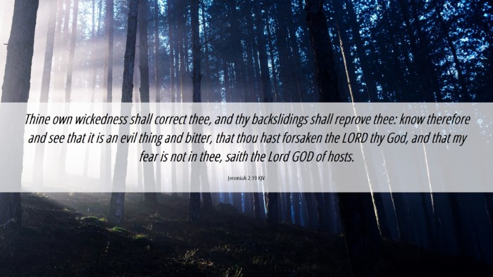 Picture 06 - Jeremiah 2:19 KJV Desktop Wallpaper - Thine own wickedness shall correct thee, and thy - Desktop Bible Verse Wallpaper