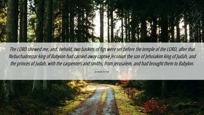 Picture 06 - Jeremiah 24:1 KJV Desktop Wallpaper - The LORD shewed me, and, behold, two baskets of - Desktop Bible Verse Wallpaper