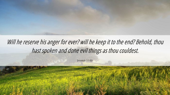 Picture 06 - Jeremiah 3:5 KJV Desktop Wallpaper - Will he reserve his anger for ever? will he keep - Desktop Bible Verse Wallpaper