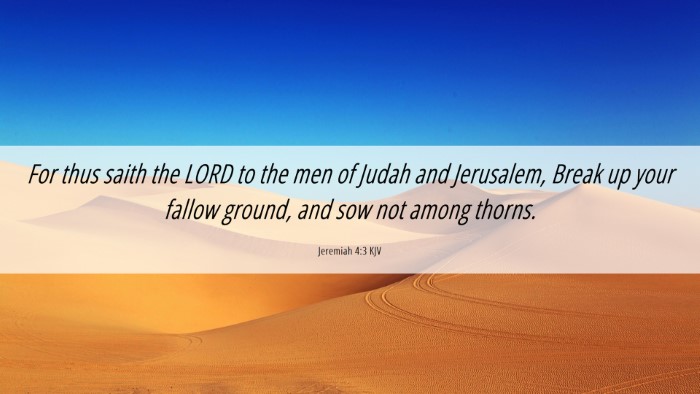Picture 06 - Jeremiah 4:3 KJV Desktop Wallpaper - For thus saith the LORD to the men of Judah and - Desktop Bible Verse Wallpaper