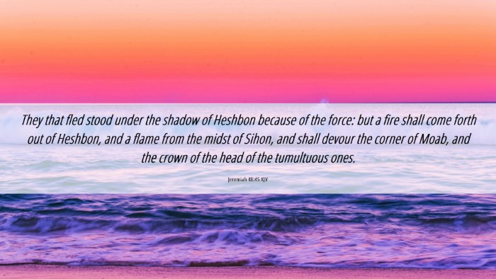 Picture 06 - Jeremiah 48:45 KJV Desktop Wallpaper - They that fled stood under the shadow of Heshbon - Desktop Bible Verse Wallpaper
