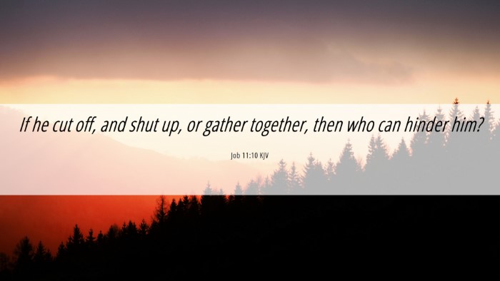 Picture 06 - Job 11:10 KJV Desktop Wallpaper - If he cut off, and shut up, or gather together, - Desktop Bible Verse Wallpaper