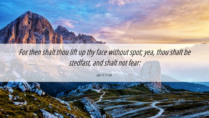 Picture 06 - Job 11:15 KJV Desktop Wallpaper - For then shalt thou lift up thy face without - Desktop Bible Verse Wallpaper