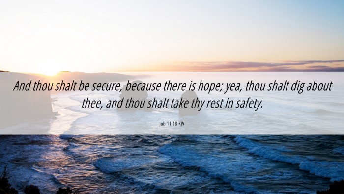 Picture 06 - Job 11:18 KJV Desktop Wallpaper - And thou shalt be secure, because there is hope; - Desktop Bible Verse Wallpaper