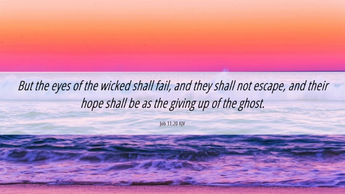Picture 06 - Job 11:20 KJV Desktop Wallpaper - But the eyes of the wicked shall fail, and they - Desktop Bible Verse Wallpaper