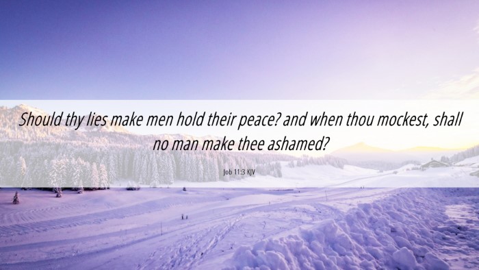 Picture 06 - Job 11:3 KJV Desktop Wallpaper - Should thy lies make men hold their peace? and - Desktop Bible Verse Wallpaper