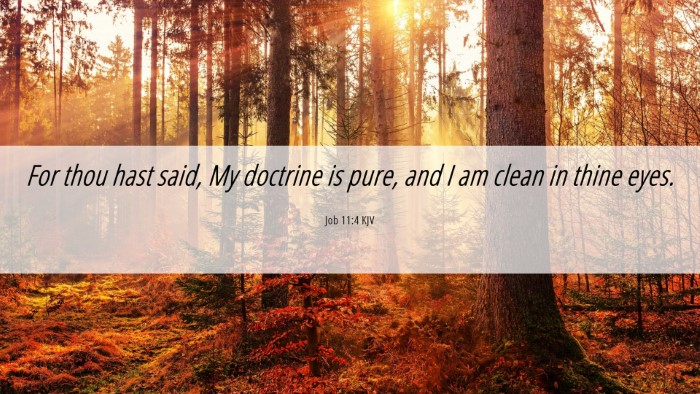 Picture 06 - Job 11:4 KJV Desktop Wallpaper - For thou hast said, My doctrine is pure, and I am - Desktop Bible Verse Wallpaper