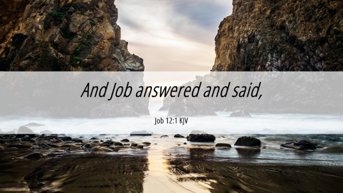 Picture 06 - Job 12:1 KJV Desktop Wallpaper - And Job answered and - Desktop Bible Verse Wallpaper