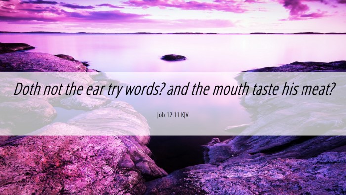 Picture 06 - Job 12:11 KJV Desktop Wallpaper - Doth not the ear try words? and the mouth taste - Desktop Bible Verse Wallpaper
