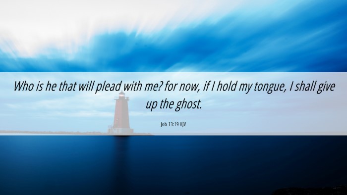 Picture 06 - Job 13:19 KJV Desktop Wallpaper - Who is he that will plead with me? for now, if I - Desktop Bible Verse Wallpaper