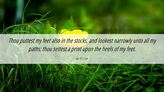 Picture 06 - Job 13:27 KJV Desktop Wallpaper - Thou puttest my feet also in the stocks, and - Desktop Bible Verse Wallpaper