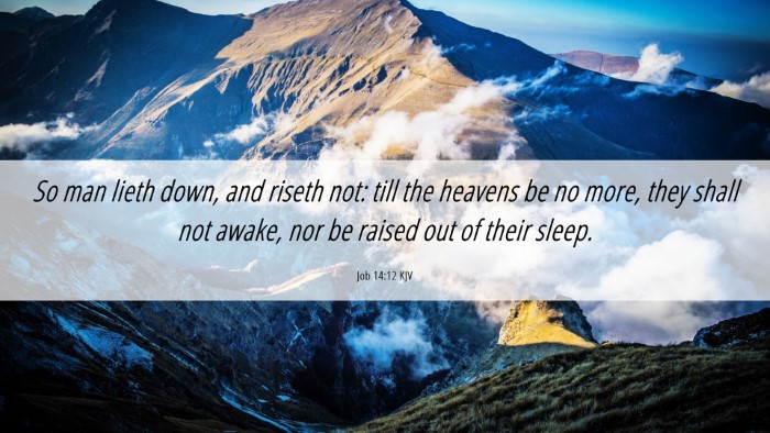 Picture 06 - Job 14:12 KJV Desktop Wallpaper - So man lieth down, and riseth not: till the - Desktop Bible Verse Wallpaper