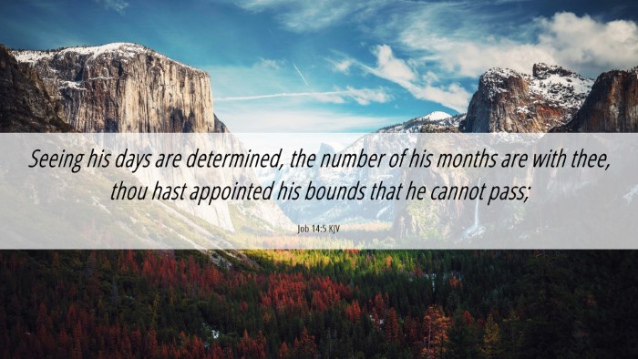 Picture 06 - Job 14:5 KJV Desktop Wallpaper - Seeing his days are determined, the number of his - Desktop Bible Verse Wallpaper