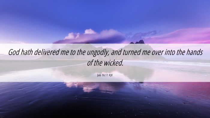 Picture 06 - Job 16:11 KJV Desktop Wallpaper - God hath delivered me to the ungodly, and turned - Desktop Bible Verse Wallpaper