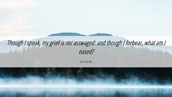 Picture 06 - Job 16:6 KJV Desktop Wallpaper - Though I speak, my grief is not asswaged: and - Desktop Bible Verse Wallpaper