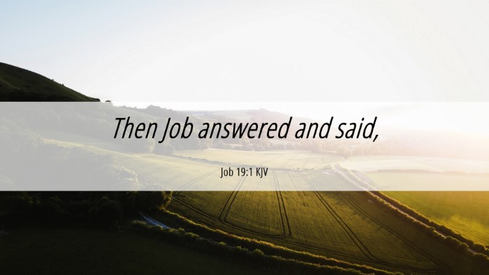Picture 06 - Job 19:1 KJV Desktop Wallpaper - Then Job answered and - Desktop Bible Verse Wallpaper