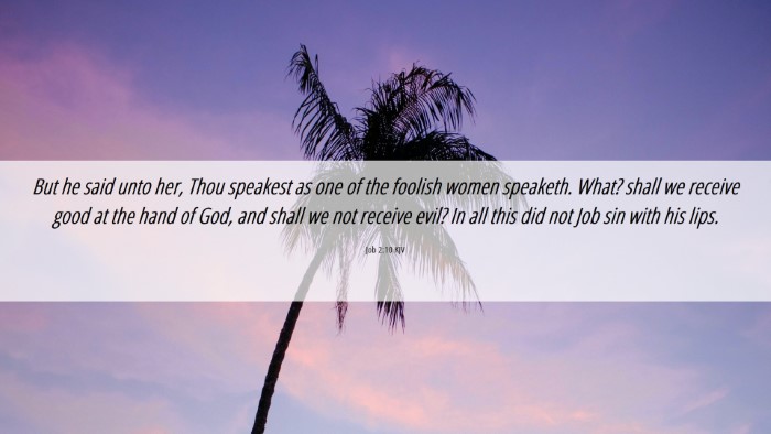 Picture 06 - Job 2:10 KJV Desktop Wallpaper - But he said unto her, Thou speakest as one of the - Desktop Bible Verse Wallpaper